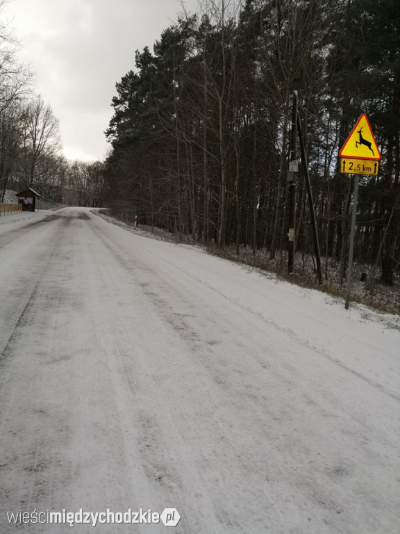 Pierwszy śnieg