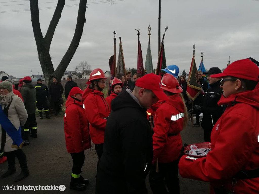 Powiatowe obchody wybuchu Powstania