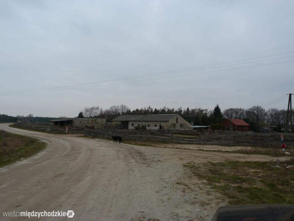 Gospodarskie wizyty radnych