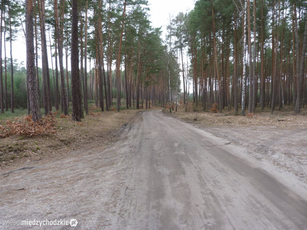 Gospodarskie wizyty radnych