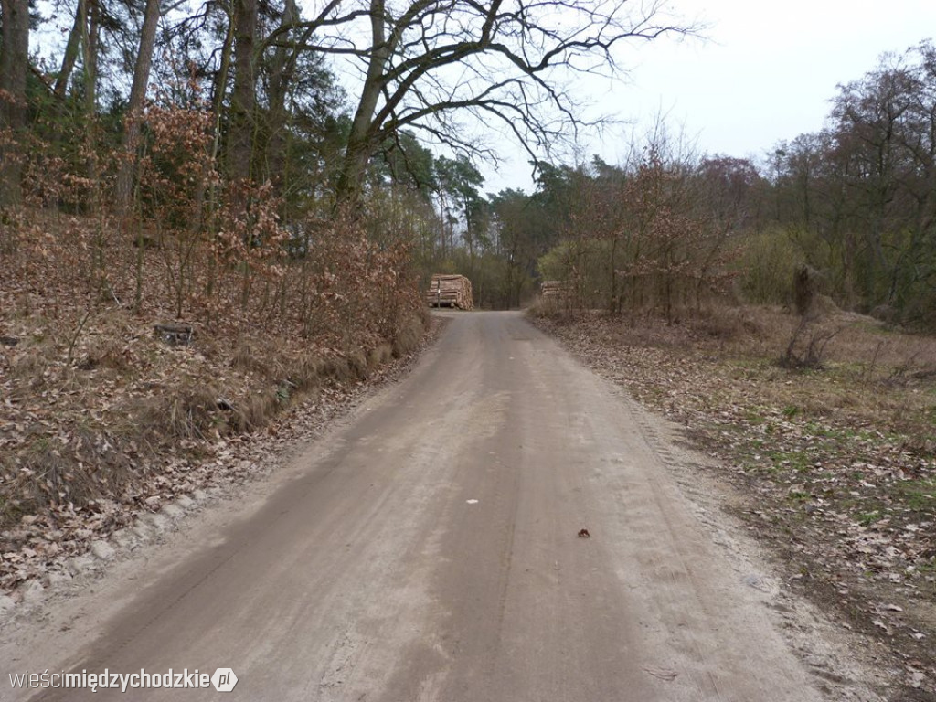 Gospodarskie wizyty radnych