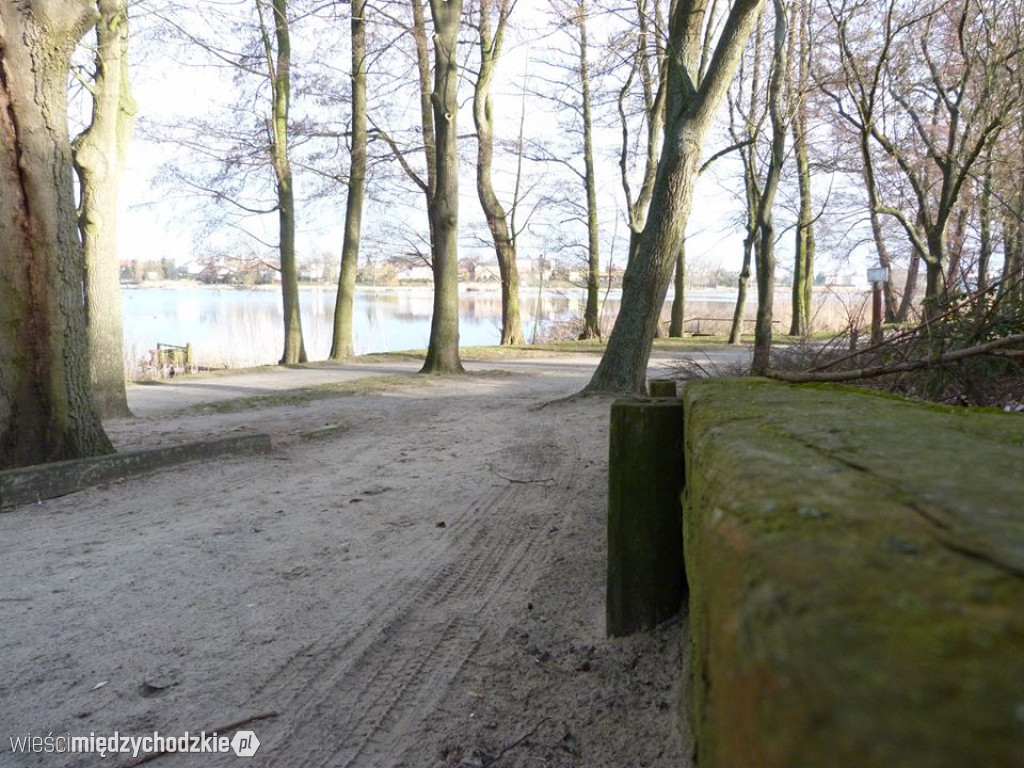 Przyroda z pozycji mrówki