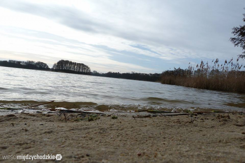 Przyroda z pozycji mrówki