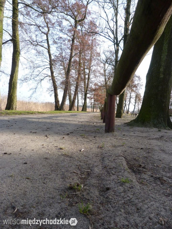 Przyroda z pozycji mrówki