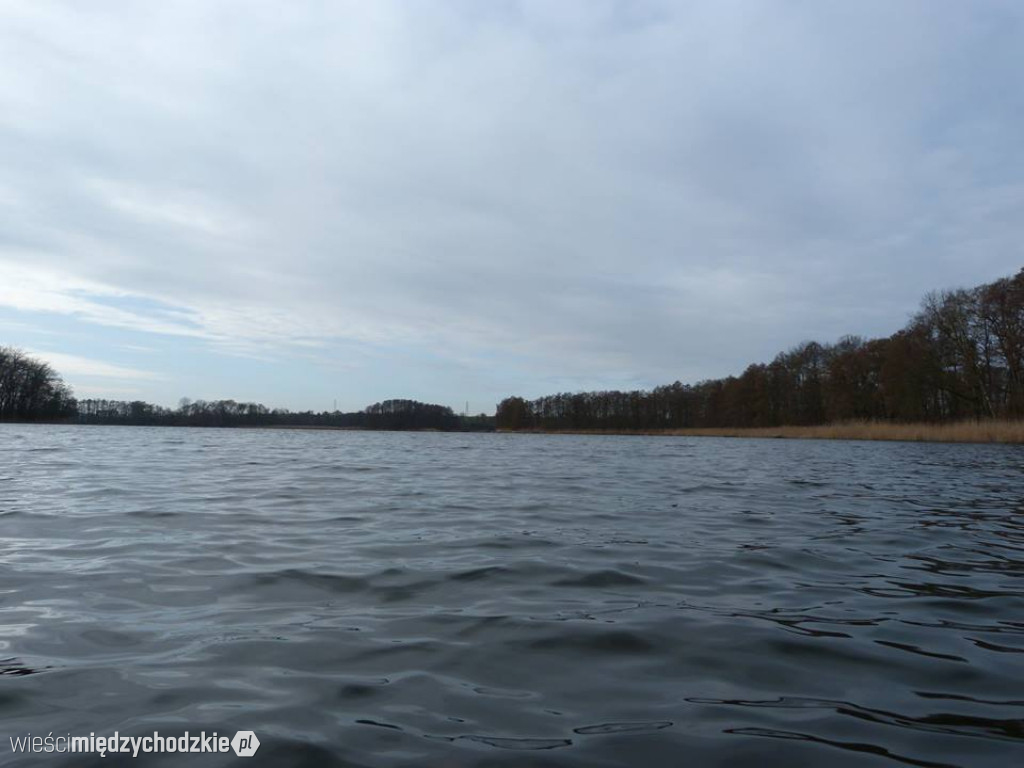 Przyroda z pozycji mrówki