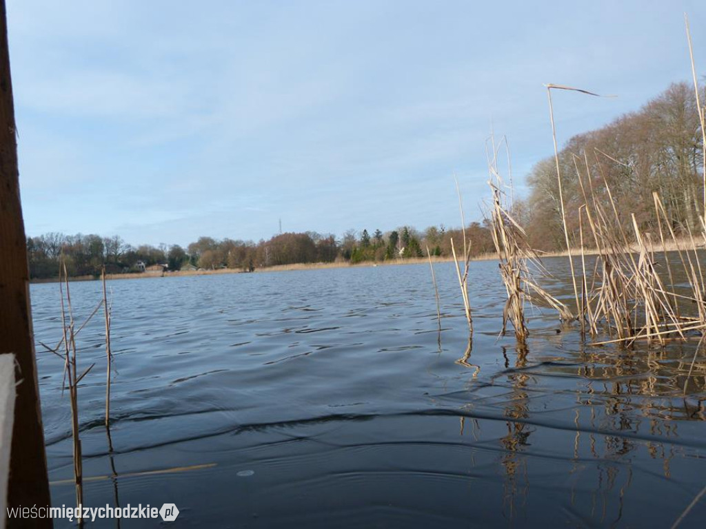 Przyroda z pozycji mrówki