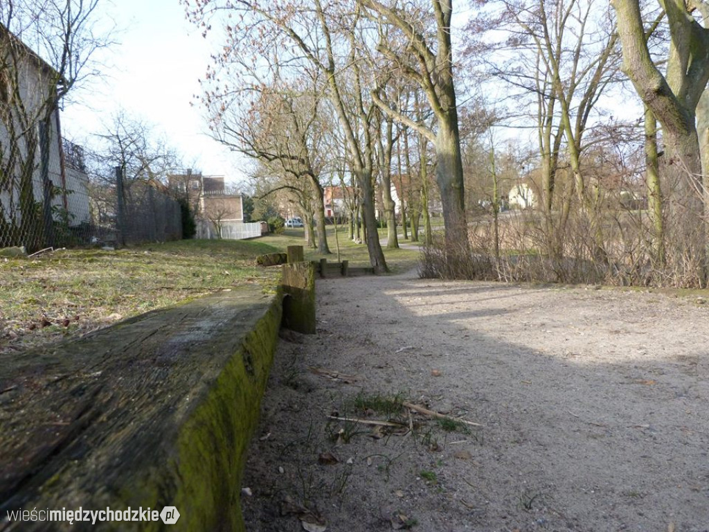 Przyroda z pozycji mrówki