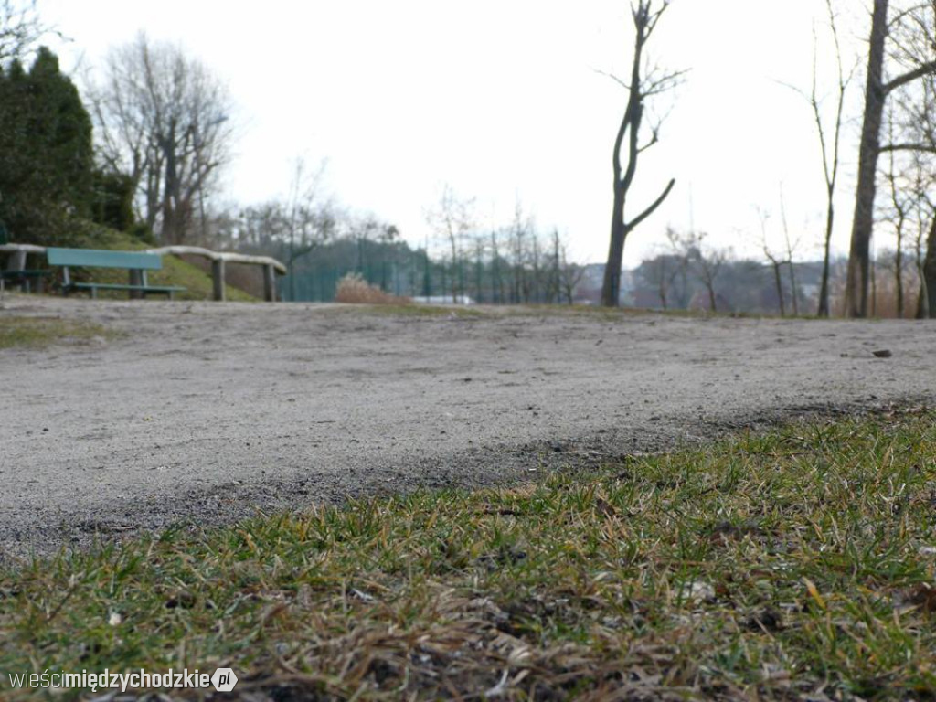 Przyroda z pozycji mrówki