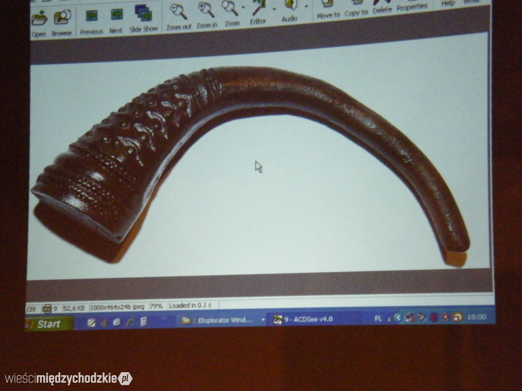 Tajemnice archeologiczne powiatu międzychodzkiego