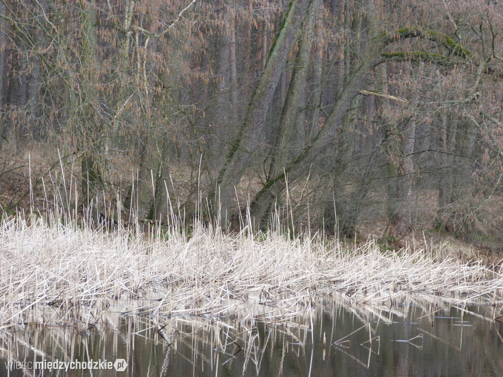Dzień nad jeziorami