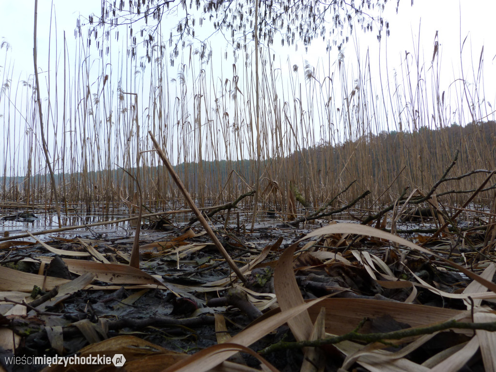 Dzień nad jeziorami