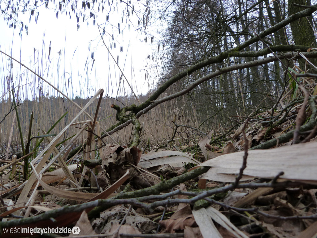 Dzień nad jeziorami