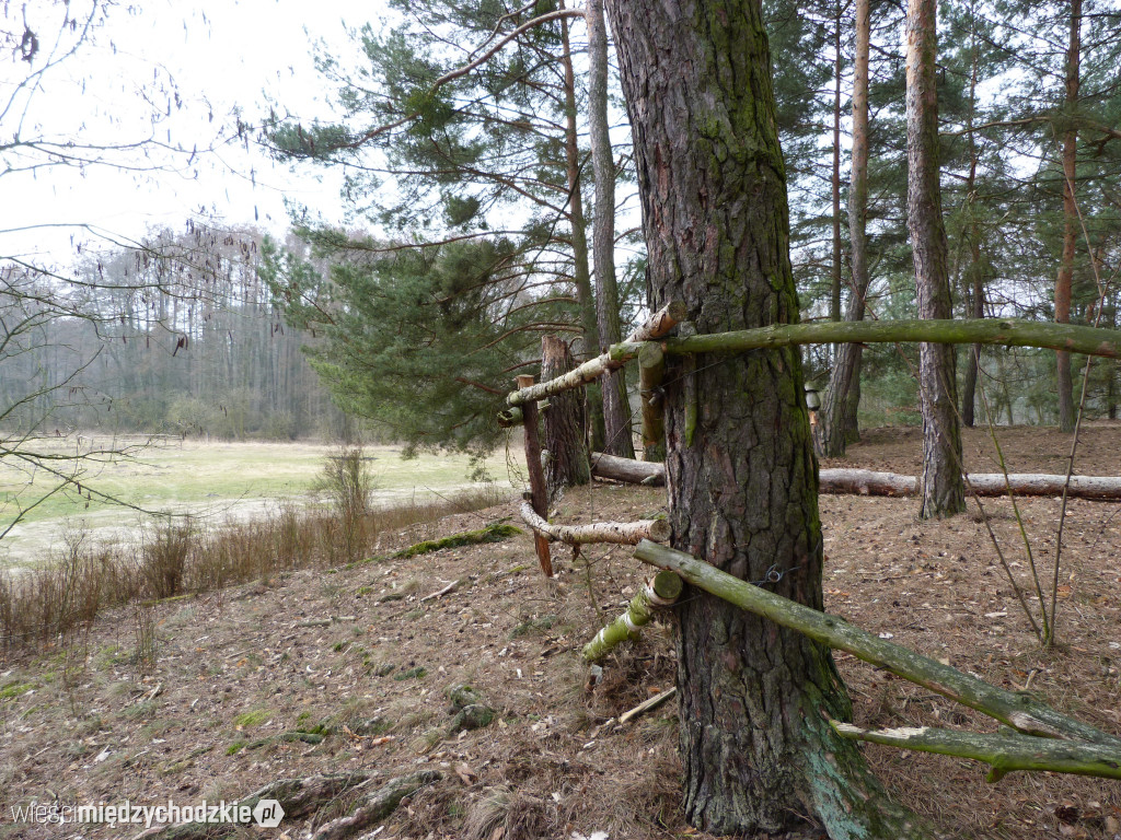 Dzień nad jeziorami