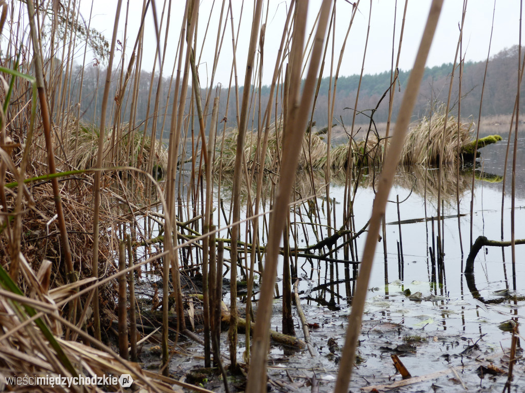 Dzień nad jeziorami