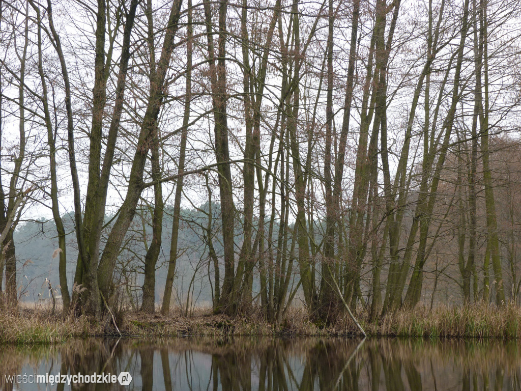 Dzień nad jeziorami