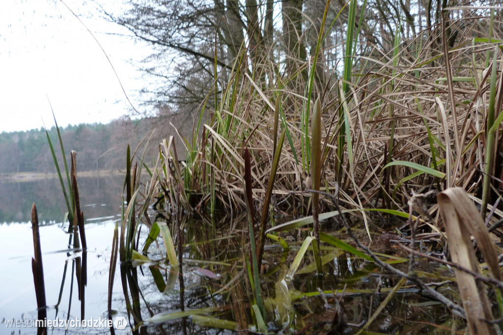 Dzień nad jeziorami