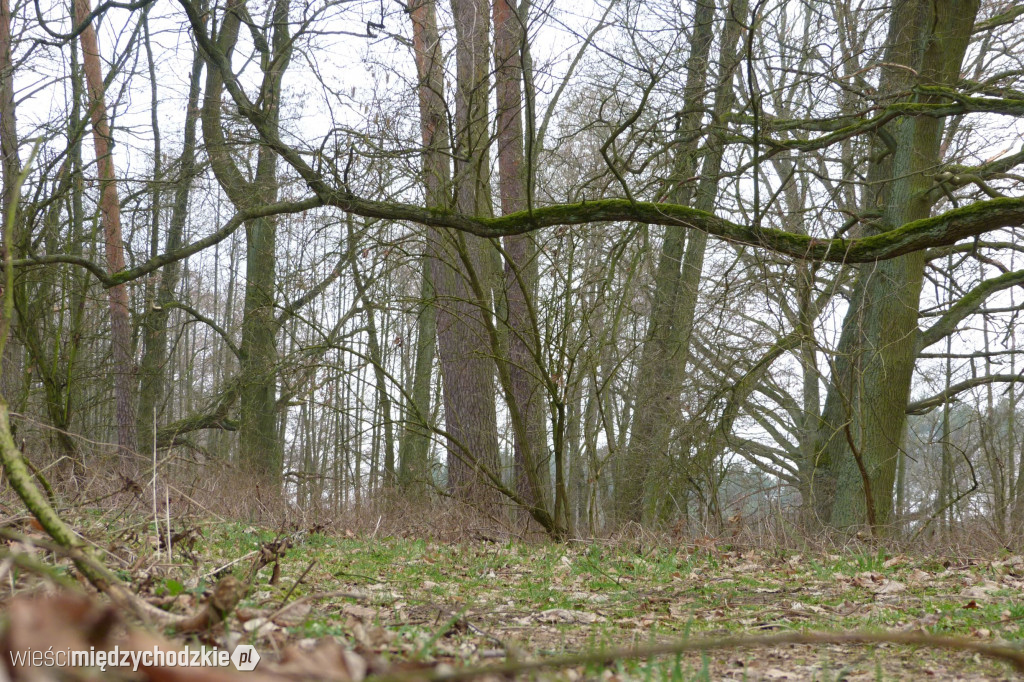 Dzień nad jeziorami