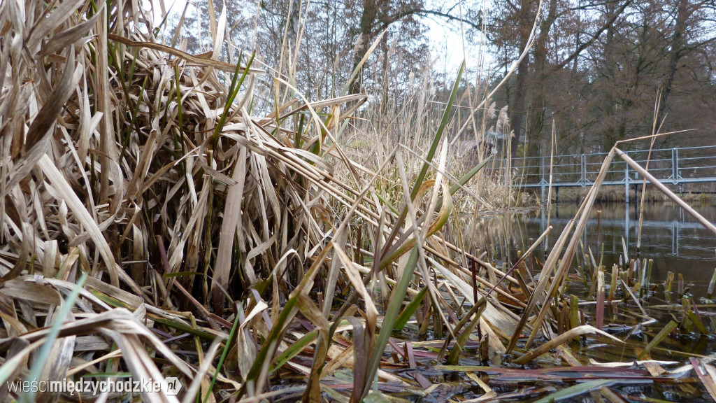 Dzień nad jeziorami