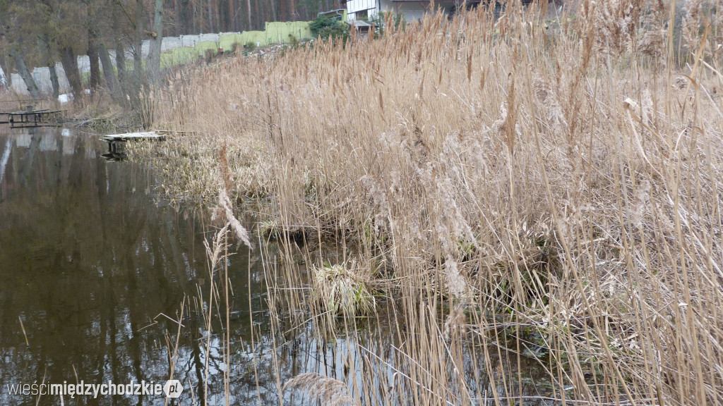 Dzień nad jeziorami