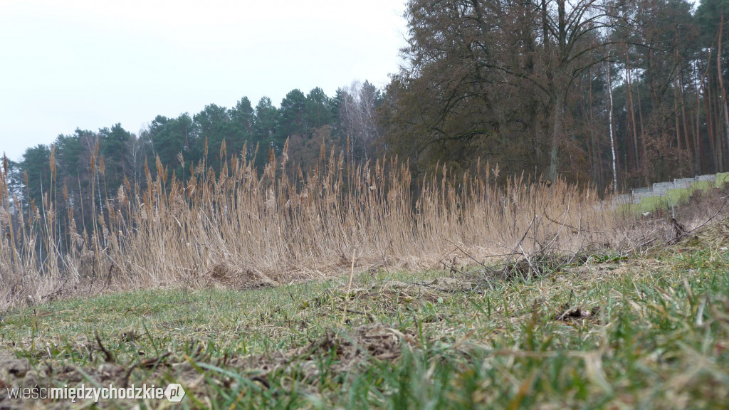 Dzień nad jeziorami