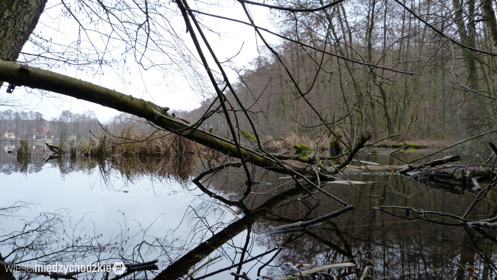 Dzień nad jeziorami