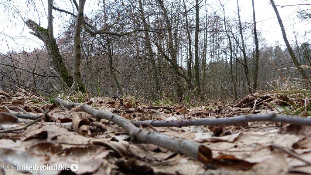 Dzień nad jeziorami