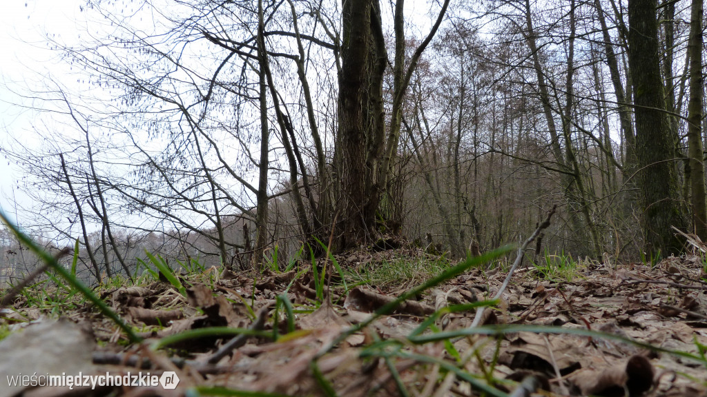 Dzień nad jeziorami