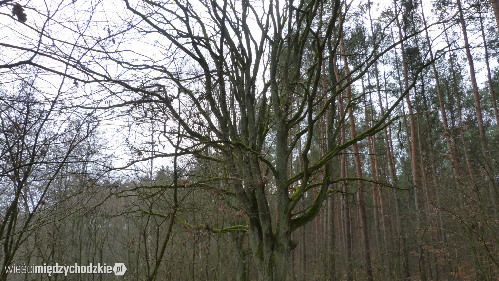 Dzień nad jeziorami