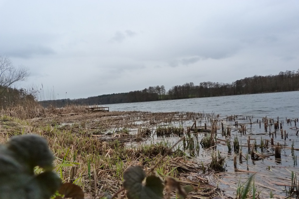 Jeziora powiatu międzychodzkiego