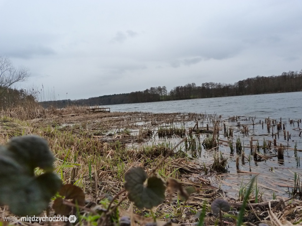 Jeziora powiatu międzychodzkiego