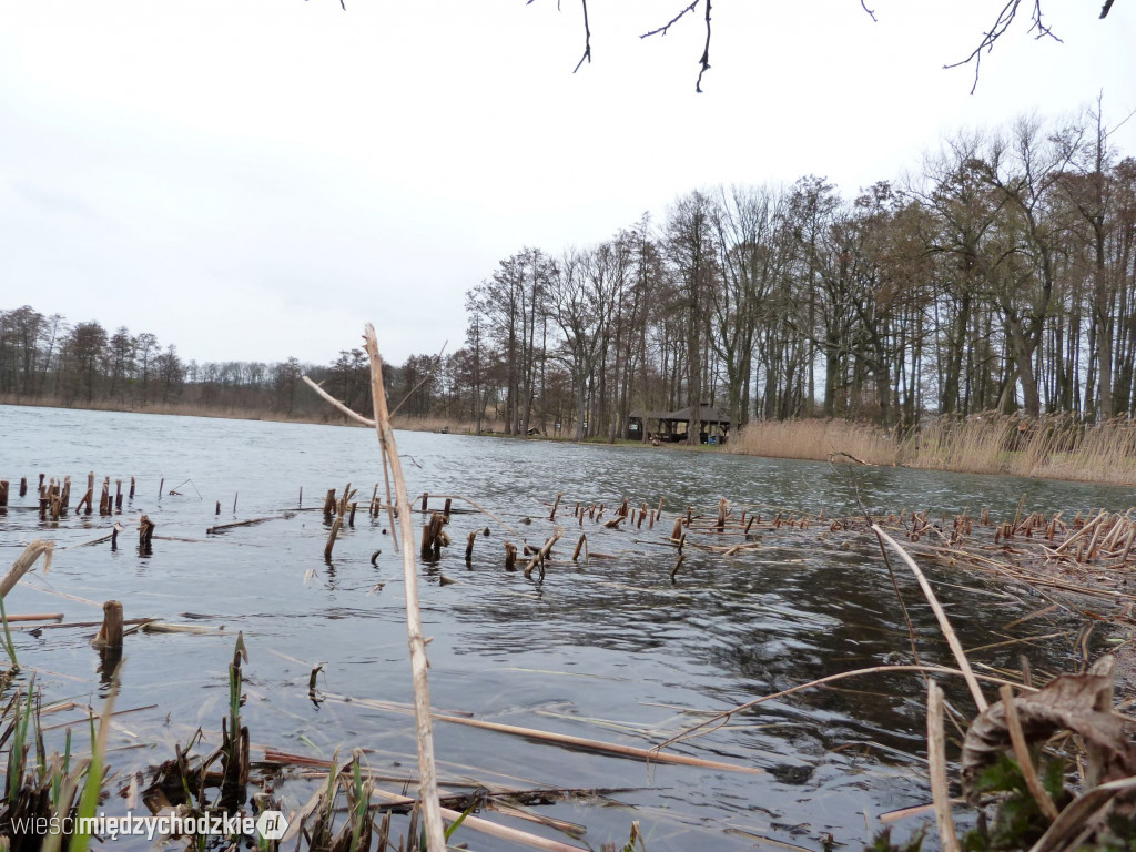 Jeziora powiatu międzychodzkiego