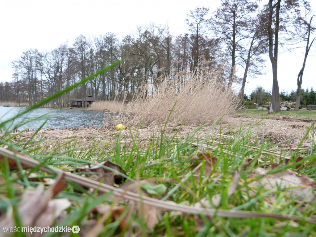 Jeziora powiatu międzychodzkiego