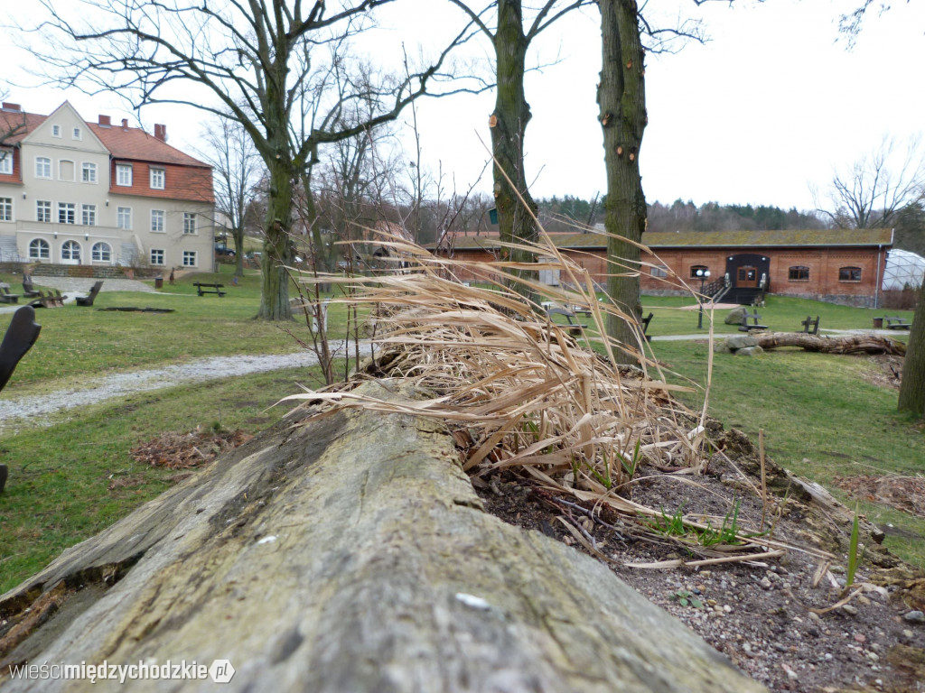 Jeziora powiatu międzychodzkiego
