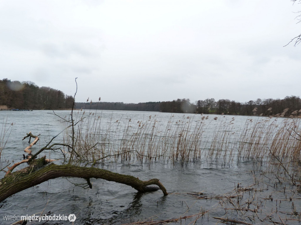 Jeziora powiatu międzychodzkiego