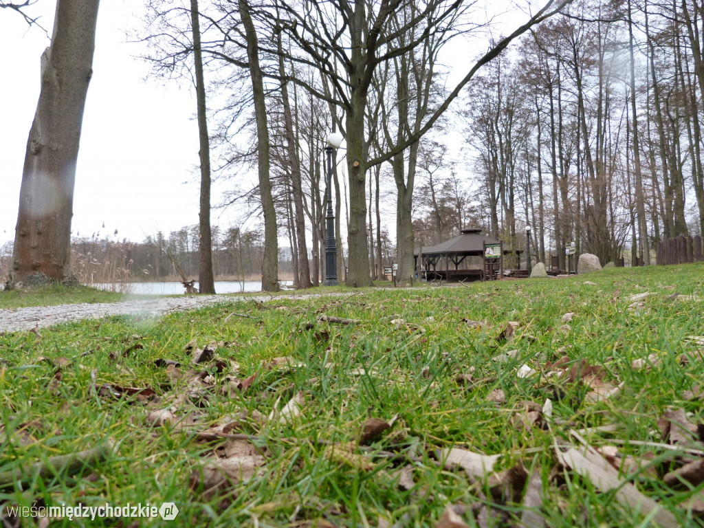 Jeziora powiatu międzychodzkiego