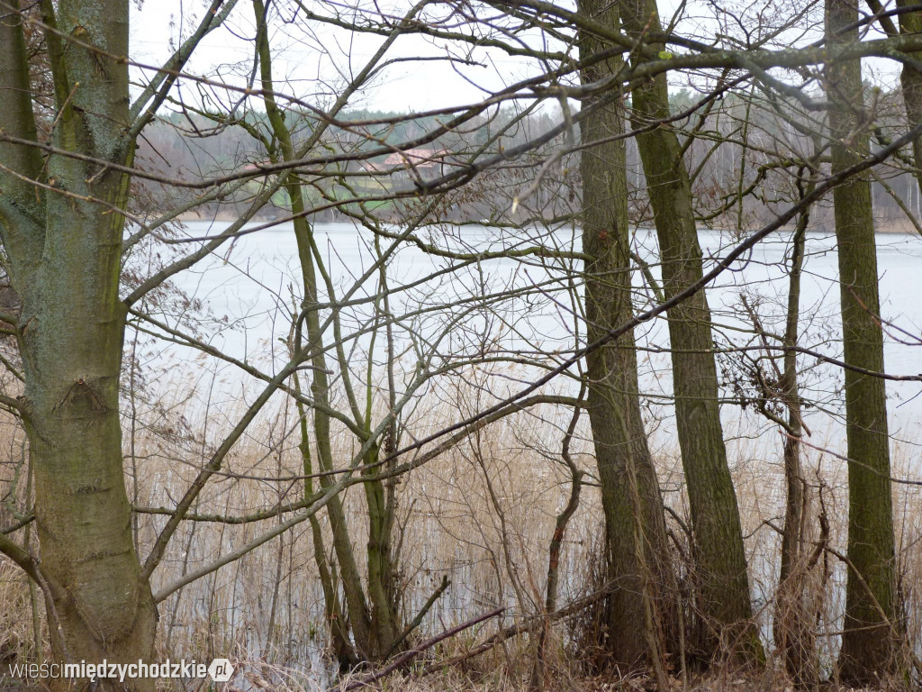 Jeziora powiatu międzychodzkiego