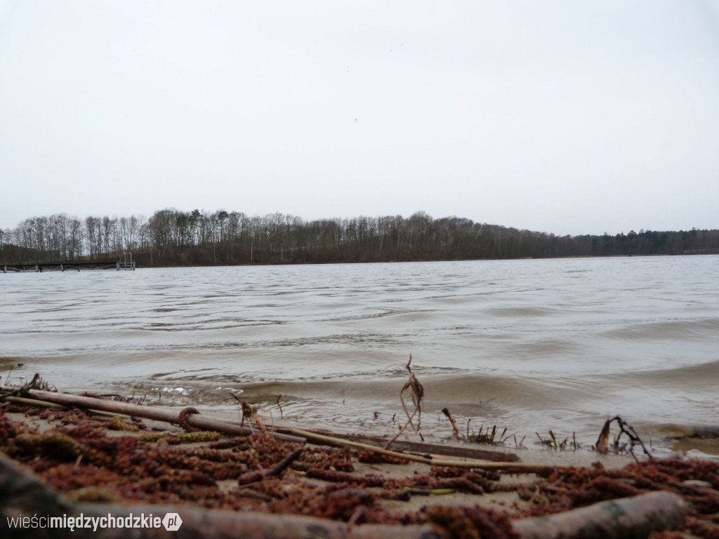 Jeziora powiatu międzychodzkiego