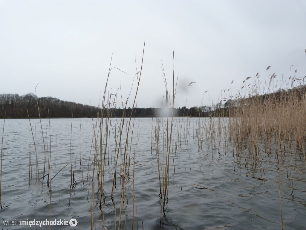 Jeziora powiatu międzychodzkiego
