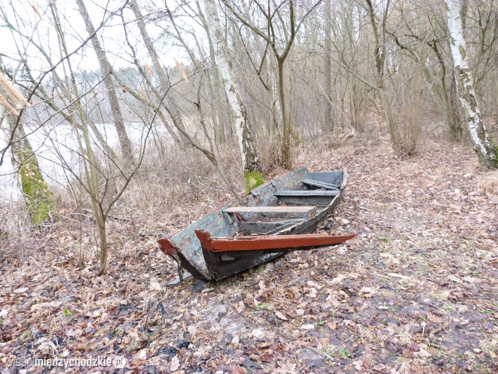 Jeziora powiatu międzychodzkiego