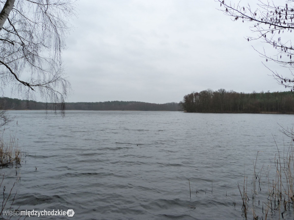 Jeziora powiatu międzychodzkiego