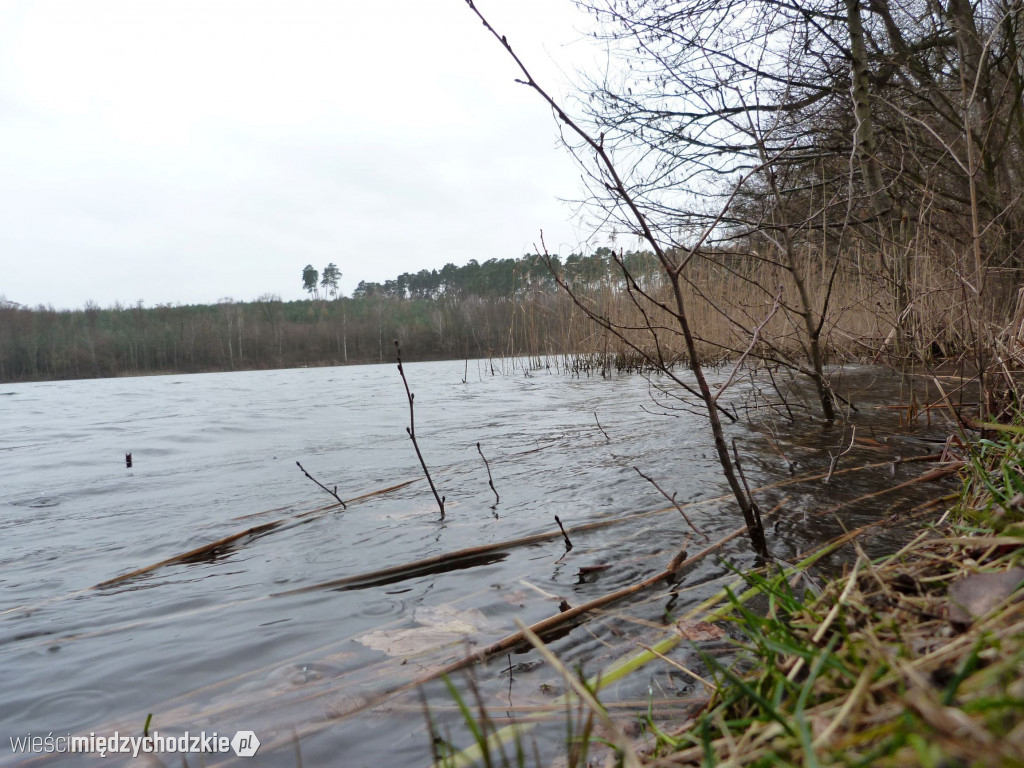 Jeziora powiatu międzychodzkiego