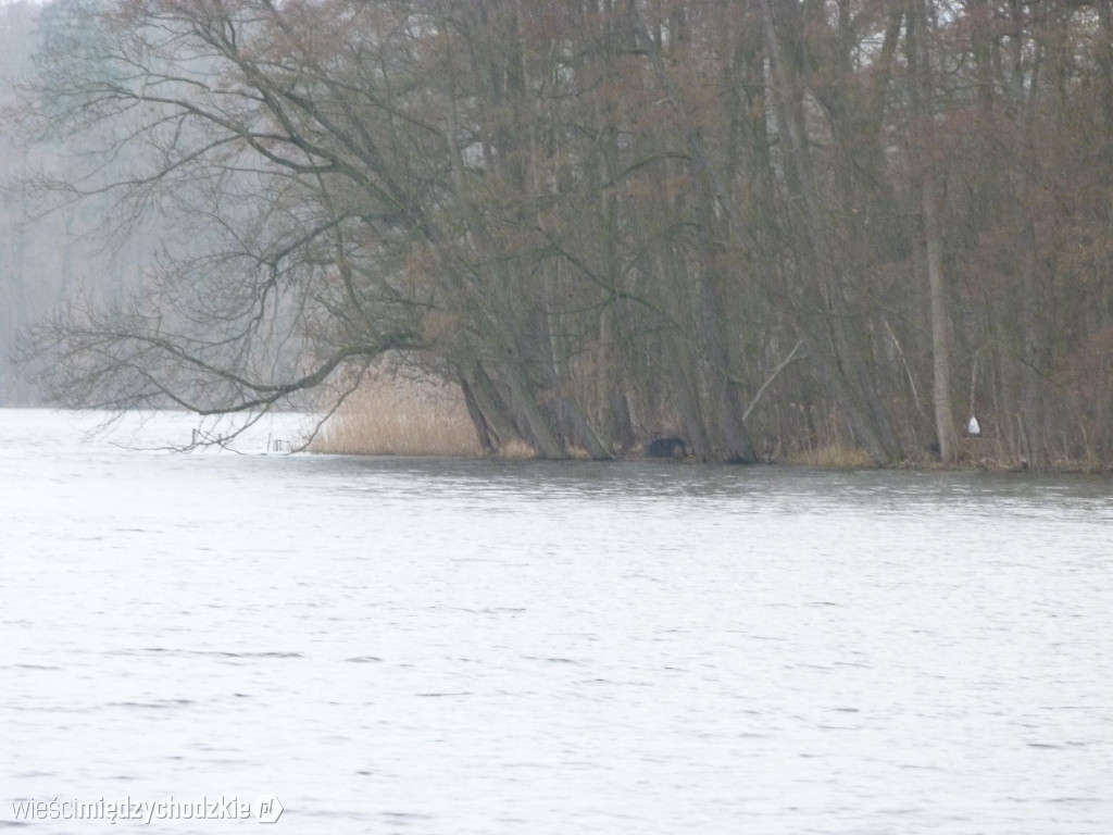 Jeziora powiatu międzychodzkiego