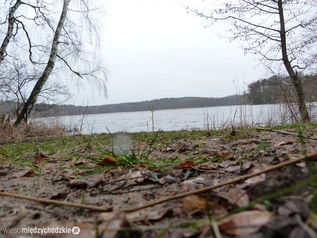 Jeziora powiatu międzychodzkiego