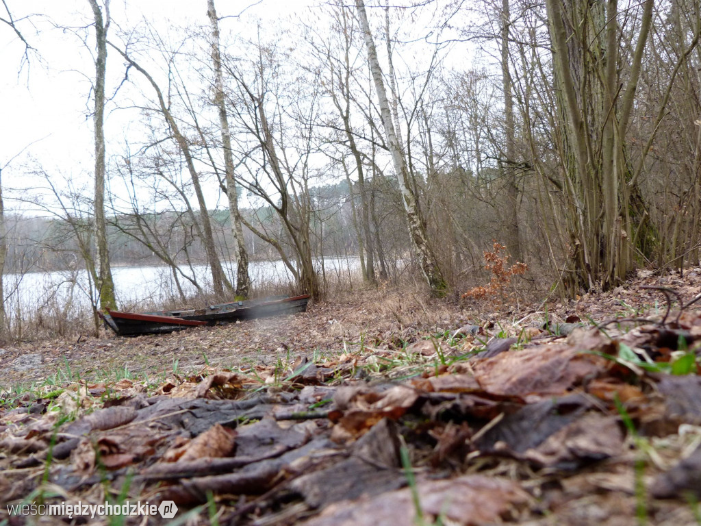 Jeziora powiatu międzychodzkiego