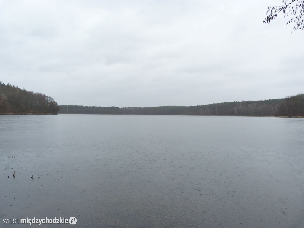 Jeziora powiatu międzychodzkiego
