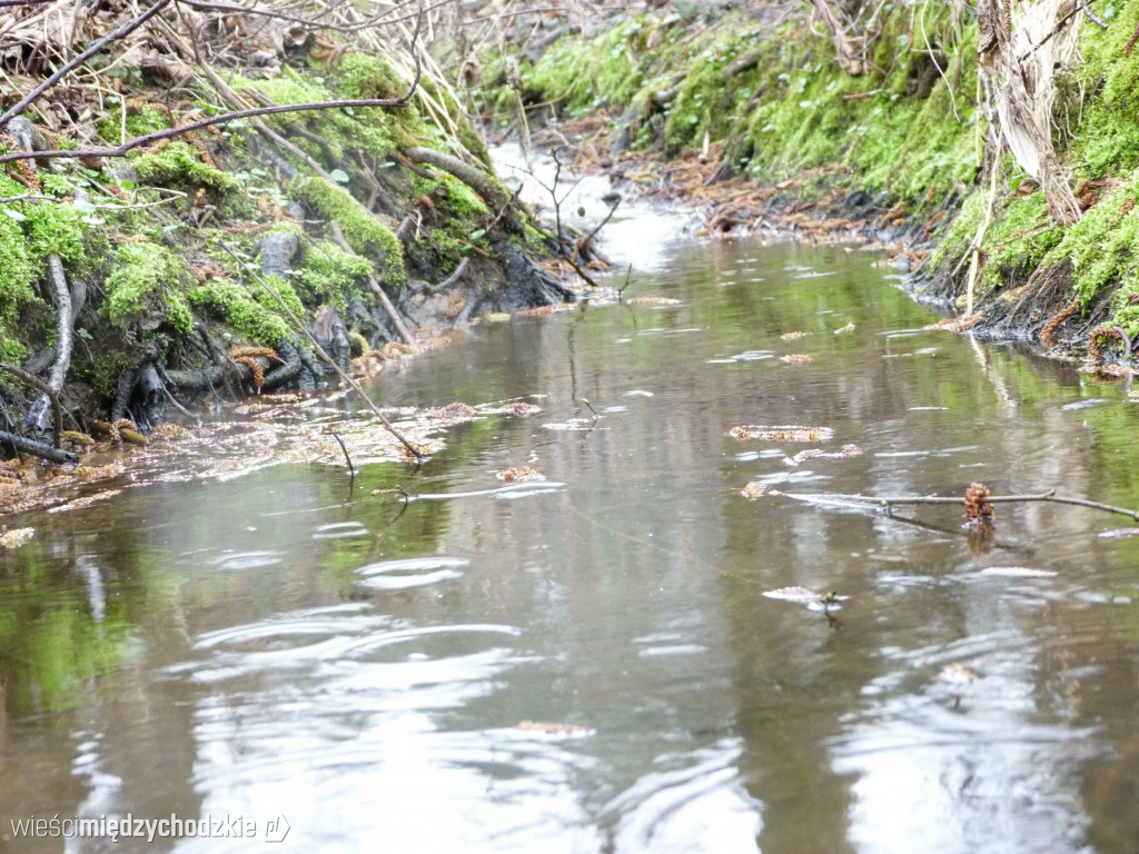Jeziora powiatu międzychodzkiego