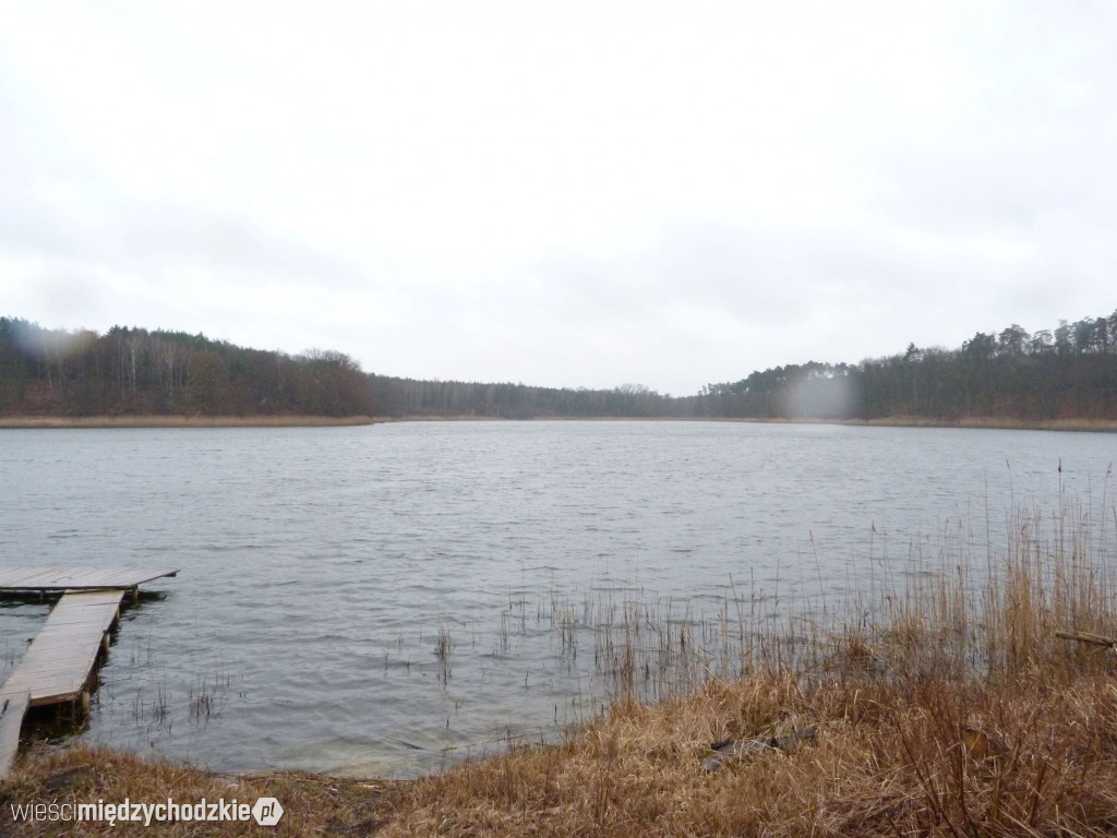 Jeziora powiatu międzychodzkiego