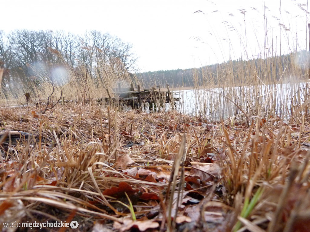 Jeziora powiatu międzychodzkiego