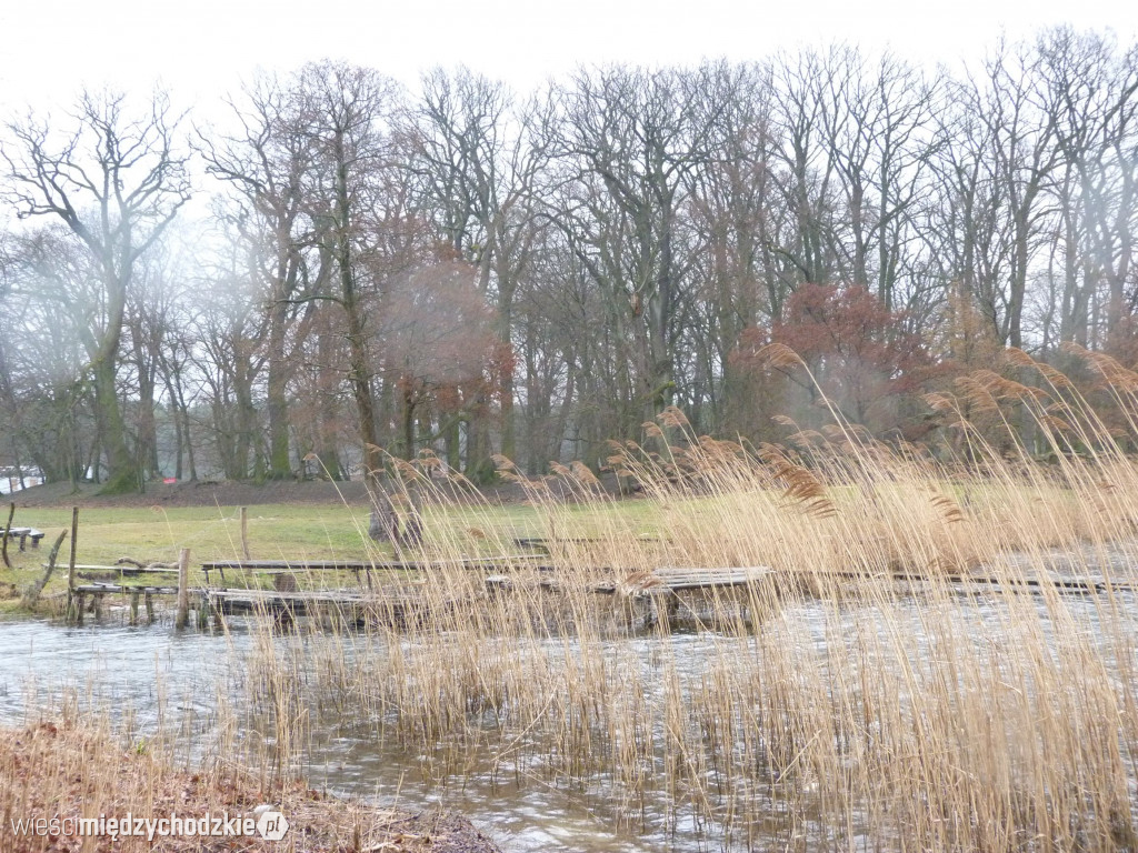 Jeziora powiatu międzychodzkiego