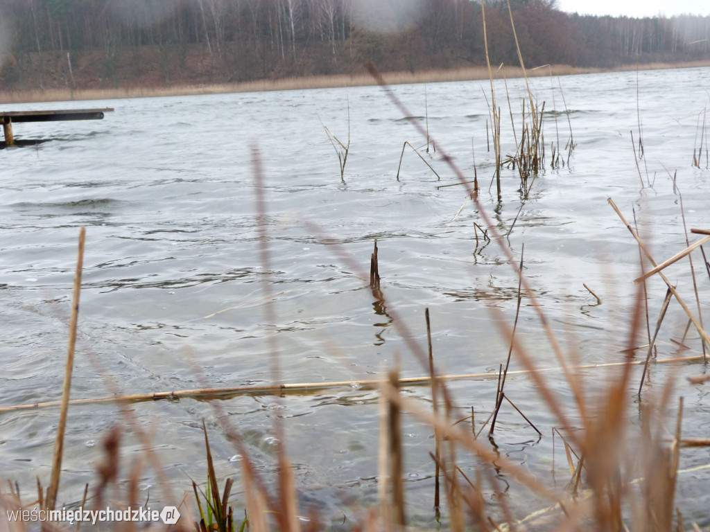 Jeziora powiatu międzychodzkiego